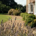 Manor House Hébergement de vacances *
