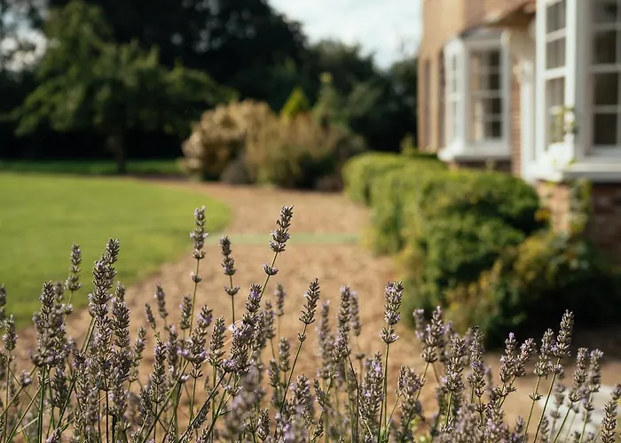 Manor House Dom wakacyjny *