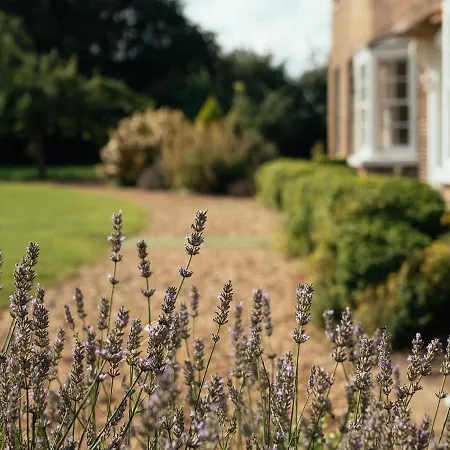 Manor House Casa de Férias *